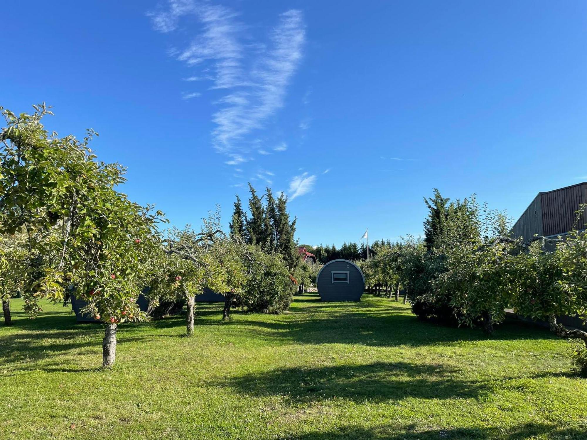 Vetsi Talli Holiday Village Kassari Eksteriør bilde